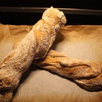 Baguettes ready